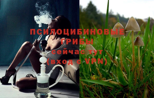 мяу мяу мука Алексеевка