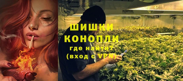 крисы Горняк