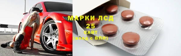 шишки Алзамай