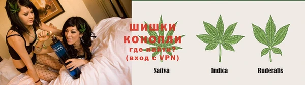 шишки Алзамай