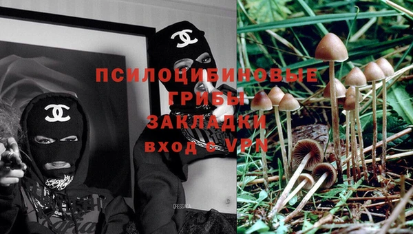 мяу мяу мука Алексеевка