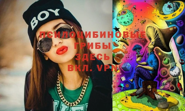 mdma Горнозаводск