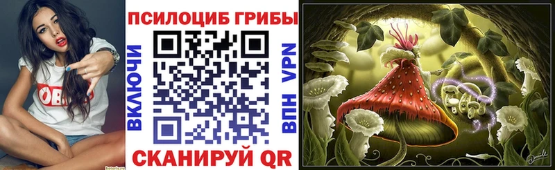 где можно купить наркотик  Находка  Галлюциногенные грибы Psilocybe 
